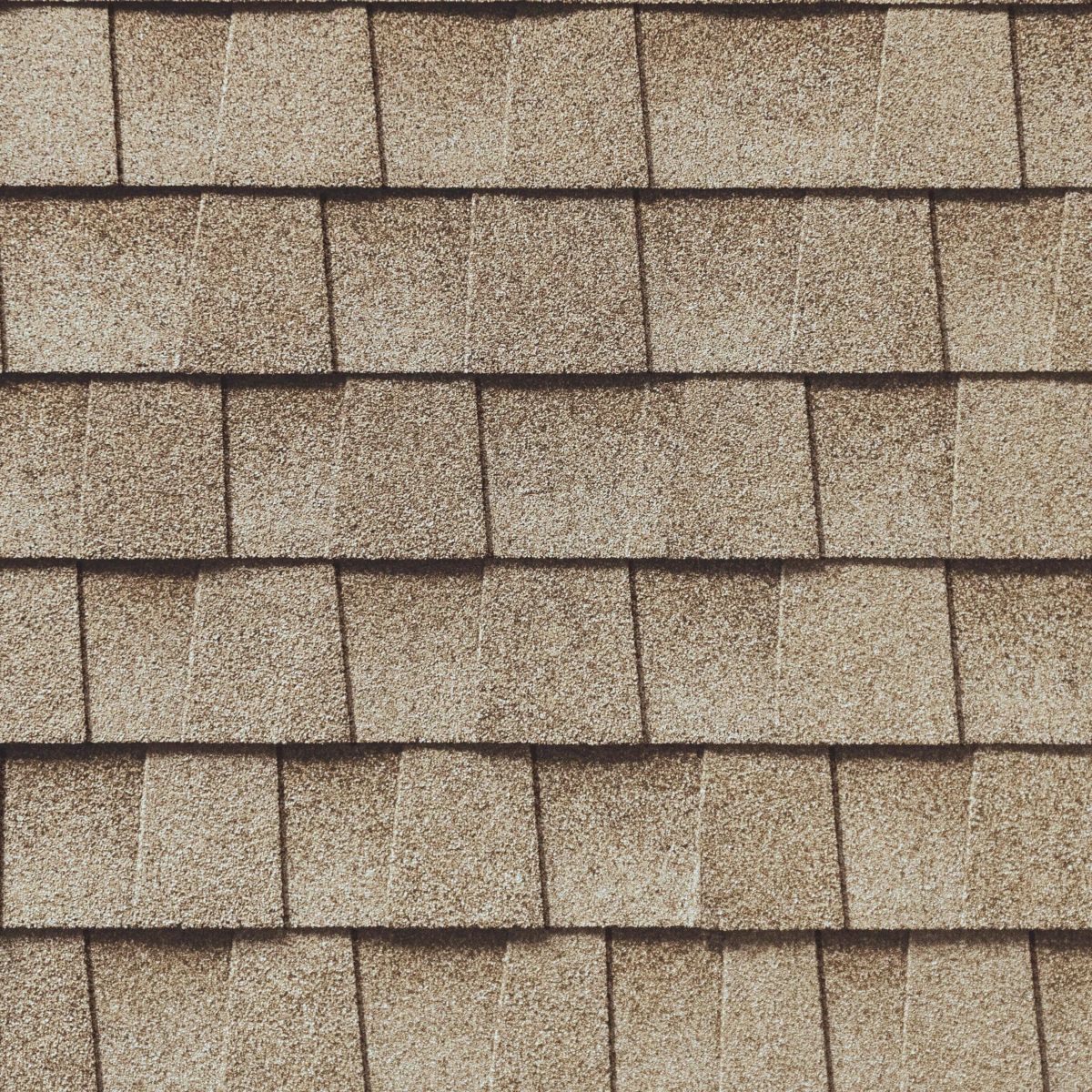 STL Restoration Pros Images