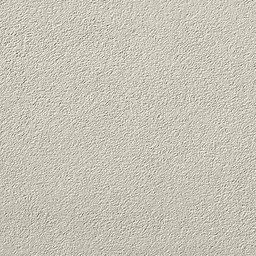 STL Restoration Pros Images