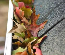STL Restoration Pros Images