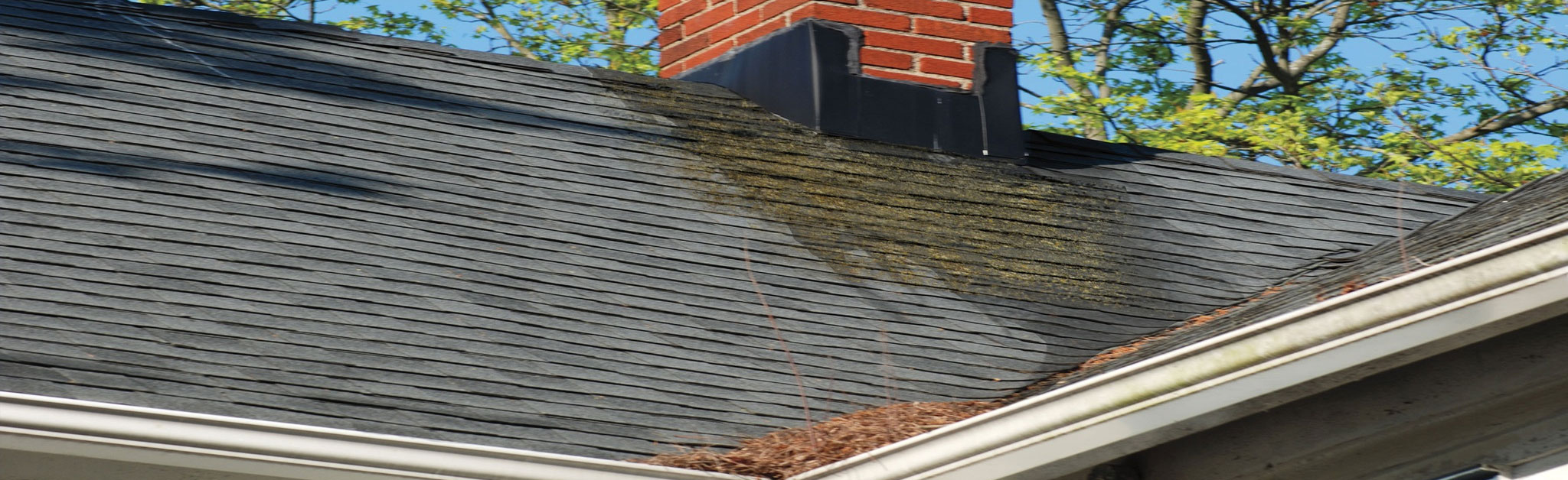 STL Restoration Pros Images